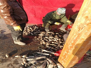 20180308233754106.jpg 8E3A047B7ABBBF9DA4B9C3E95714525A.jpg